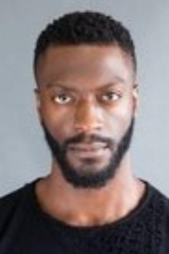 Aldis Hodge isHawkman / Carter Hall